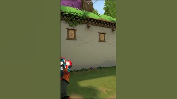 Why Phantom Is Better Than Vandal In Valorant #shorts