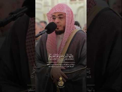 ي ا أ ي ه ا ال ذ ين آم ن وا ق وا أ ن ف س ك م و أ ه ل يك م ن ار ا أحمد عبدالرازق نصر