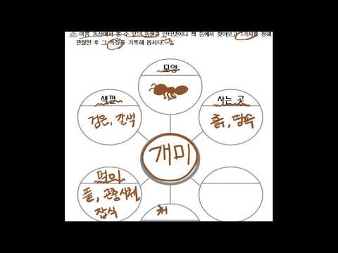 2학년통합_여름 동물,곤충의 특징 알아보기(개미)