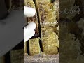 ハチミツ泥棒が現れて激おこなミツバチ #Shorts