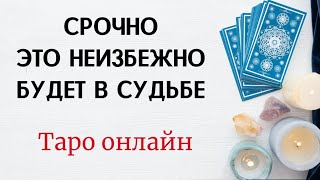 СРОЧНО. Это неизбежно будет в судьбе. | Таро прогноз | Тайна Жрицы