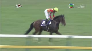 2016 Tenno Sho Autumn G1 - Maurice (滿樂時) - R.Moore