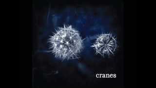 Watch Cranes Feathers video
