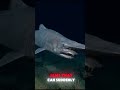 3 Scariest Creatures That Actually Exist