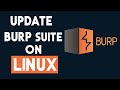 how to update burpsuite on linux