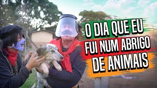 O DIA QUE EU FUI NUM ABRIGO DE ANIMAIS