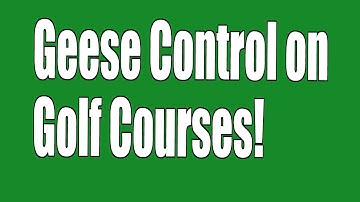 Geese Control on Golf Courses  -- Arvada Has Solved Their Goose Problem with the Goosinator