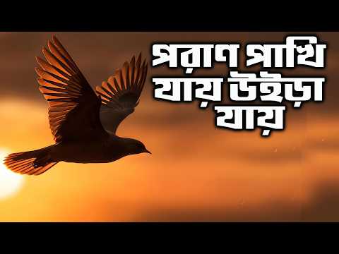 পরাণ পাখি যায় উইড়া যায় Poran Pakhi Jay Uira Jay