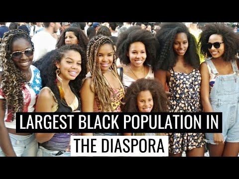아프리카 디아스포라 인구가 가장 많은 상위 5 개 국가