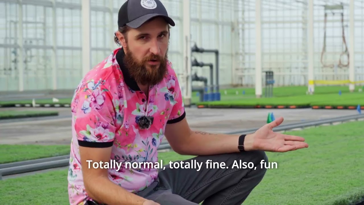 Product Highlight: English Lavender Plugs with Chris