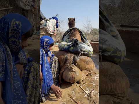 تقوم الفتاة بخلط الطين داخل إناء فخاري بالماء وتضعه فوق الإناء حتى يبقى الماء في الإناء باردا