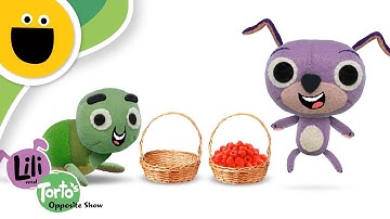 Full and Empty | Lili & Torto