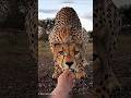 Rare Photos That Will Leave You Speechless Rare Photos That Will Leave You Speechless