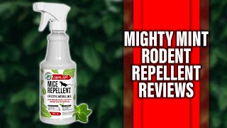 Mighty Mint Rodent Repellent Review: Should You Buy It? (Expert Analysis Inside)
