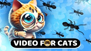CAT GAMES  Ants. Insects Video for Cats | CAT TV | 1 Hour.