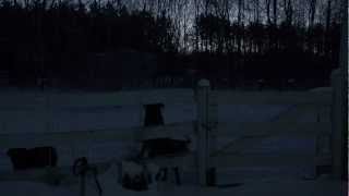 Hot Docs Trailers 2013: NORTHERN LIGHT