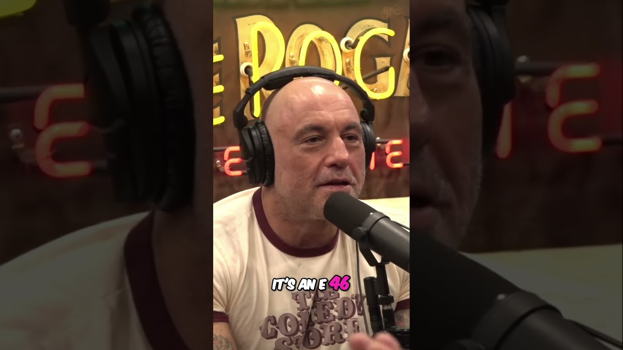 Why the 2005 BMW M3 E46 is Car Perfection