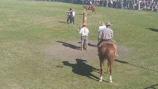 jineteada en sauce de Luna Entre Ríos clinas (Trasmisión en vivo)