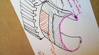 Cross Ply Tyre And Radial Tyres.