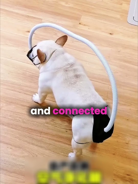 He Couldn't Stop Farting 💨😂 (@dfo-daofeng)