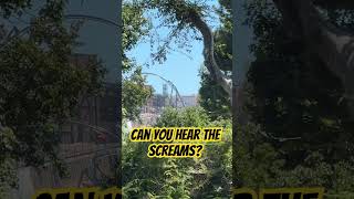 Is This Rollercoaster Too Loud? #shorts #fastandfurious