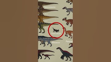Types of Dinosaurs PT 6