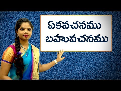 Singular & Plural in Telugu : ఏకవచనం బహువచనం  : Learn Telugu for all