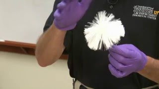 How to Process Latent Fingerprints Using NonMagnetic Powder