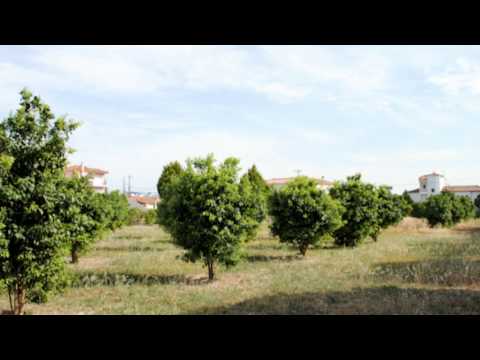 mpourtzi,oikopedo,entos,