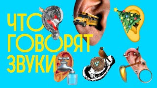 Как УСЛЫШАТЬ СВОЮ КРОВЬ и другие факты о ЗВУКЕ, которые ты не знал / Редакция.Наука