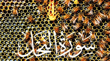 (سورة النحل) كامله القران الكريم بصوت هادئ يريح القلب والنفس ( Surat An-Nahl )