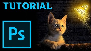 -Curious Cat- Photoshop Tutorial - Manipulation