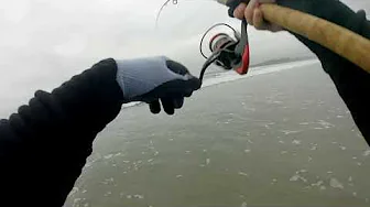 Yoink! Surf Fishing Cayucos, Ca Yoink! Surf Fishing Cayucos, Ca