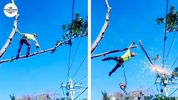 Idiots With Chainsaws: Tree Cutting Fails | Extreme Dangerous Logging Truck Fails #6