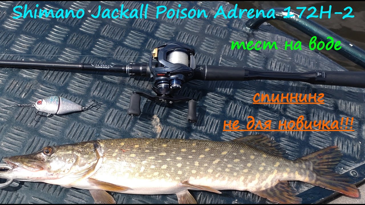 Shimano Jackall Poison Adrena 172H-2 WHO ARE YOU???. Water test