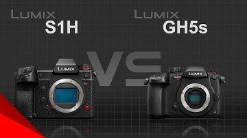Panasonic Lumix S1H vs Panasonic Lumix GH5s