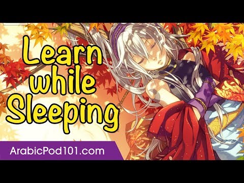 Arabic Listening Practice - Learn Arabic Useful Conversation Phrases in 8 Hours