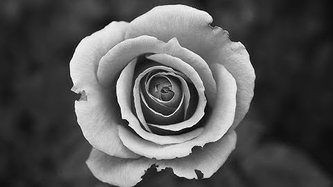 Media Literacy + Anti-Bias Education: Tips for Teachers