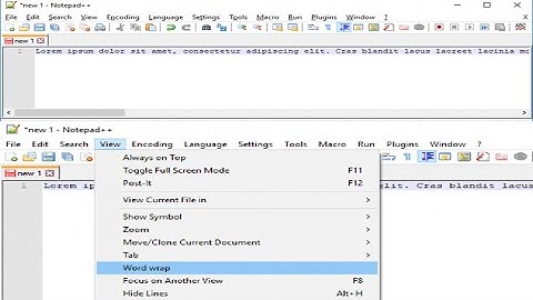 How to Disable Horizontal Scrollbar in Notepad ++