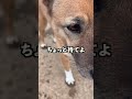 厚底ヒール。のサムネイル