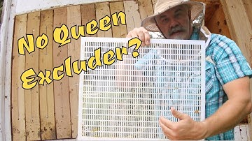 Can You Harvest Honey from a Layens Hive with no Queen Excluder?