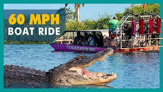 Everglades Holiday Park Airboat Ride | Royal Caribbean Excursion
