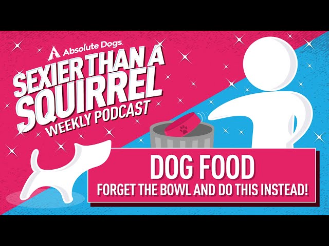 Ditch the Bowl: Interactive Dog Feeding — With Love & Oats