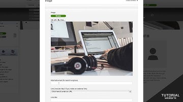How to build a website with mono