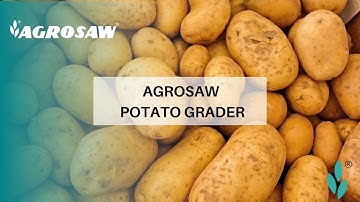 AGROSAW Potato Grader and Onion Grading Plant