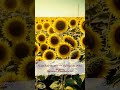 Запомни это – и ты будешь счастлив