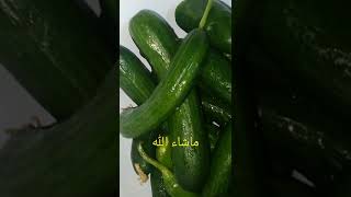 طرشي مخلل طرشي محشي خيار  عراقي طريقه سهله وطعم لذيذ ?