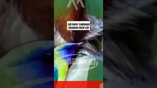 Download Lagu sultanyatembakan hadir bosskuh. #tembakankasar #masterankasar #masterankasartajam MP3