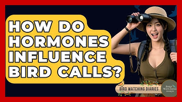 How Do Hormones Influence Bird Calls? - Bird Watching Diaries