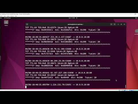 [Cyber Security Project] Detecting DDOS Attacks and Port Scanning Techniques with Snort